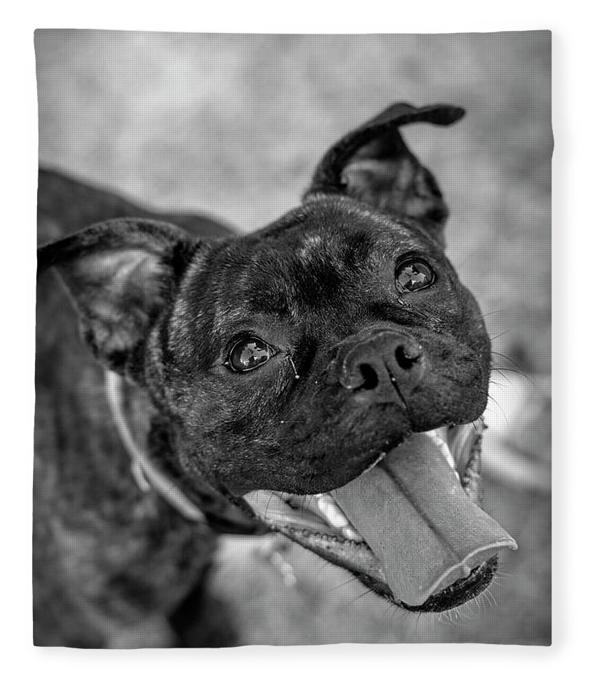 Admire Fleece Blanket featuring the photograph Penny - Dog Portrait by Adrian De Leon Art and Photography