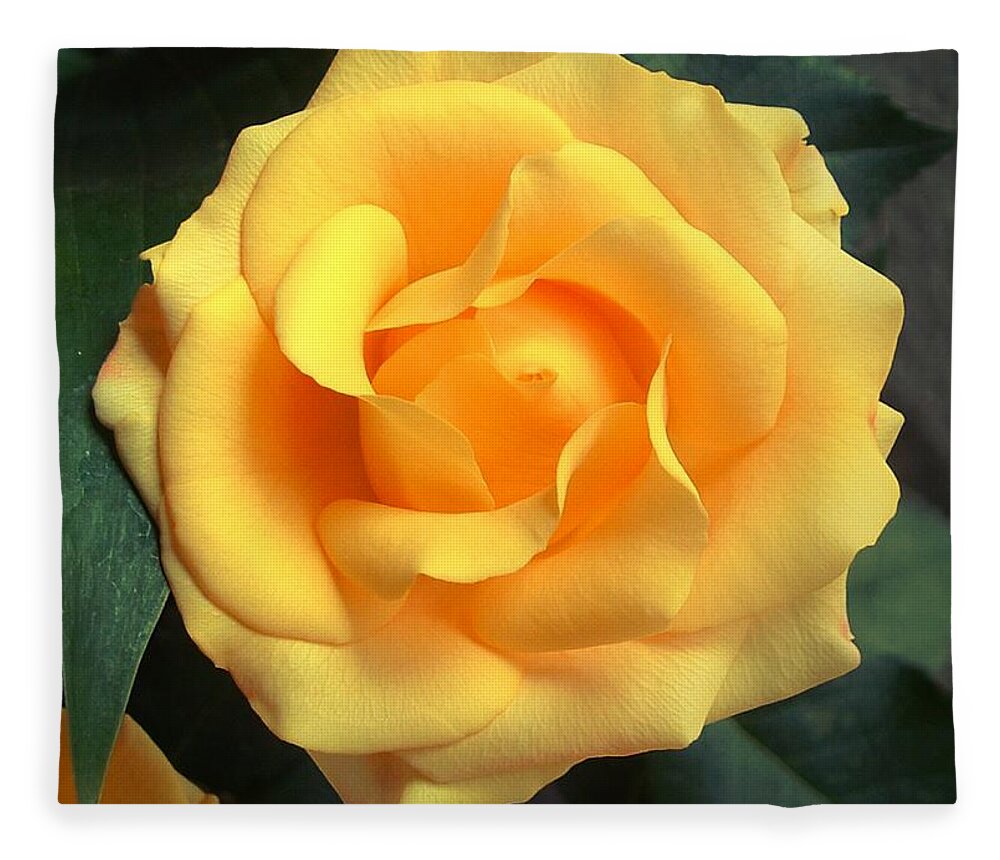 Floral Fleece Blanket featuring the photograph Perfect Bloom by Kae Cheatham