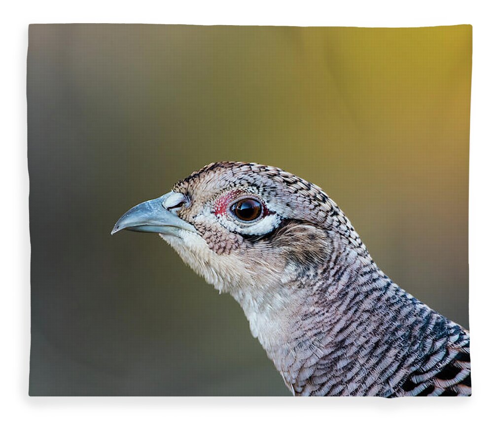 Pheasant Hen Fleece Blanket featuring the photograph Pheasant Hen's Portrait by Torbjorn Swenelius