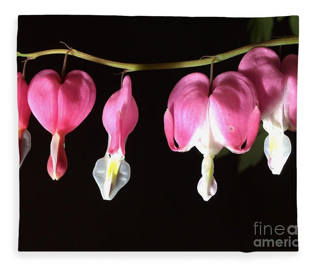 Photograph Fleece Blanket featuring the photograph Photograph of Pink Bleeding Heart by Delynn Addams by Delynn Addams