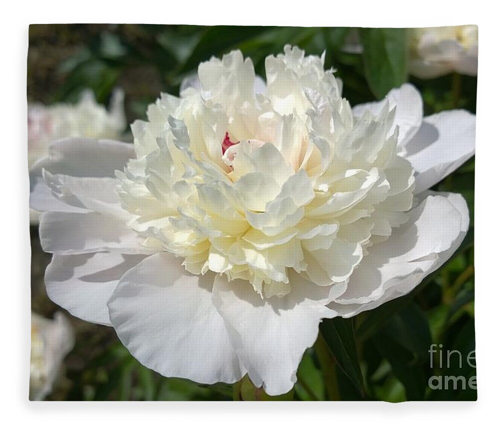 Photograph Fleece Blanket featuring the photograph photograph White Peony Flower by Delynn Addams