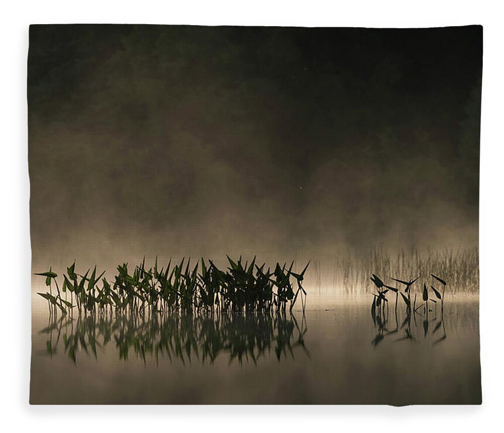 Fog Fleece Blanket featuring the photograph Pickerel Lake Fog by Jody Partin