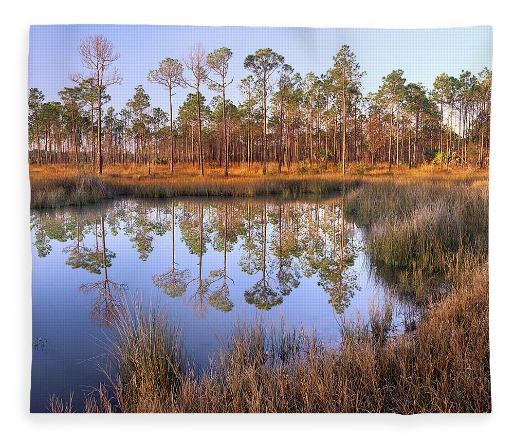 00175905 Fleece Blanket featuring the photograph Pine Trees Reflected In Pond Near Piney by Tim Fitzharris