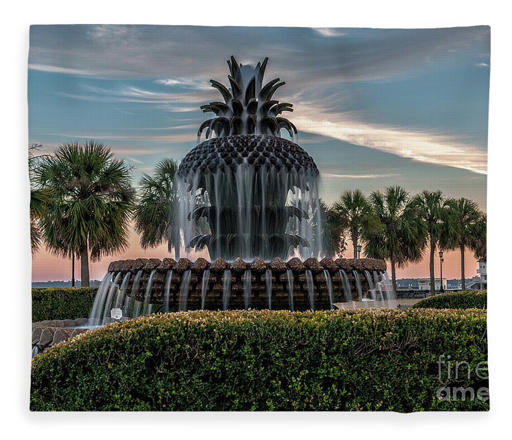 Pineapple Fountain Fleece Blanket featuring the photograph Pineapple Suprise by Dale Powell
