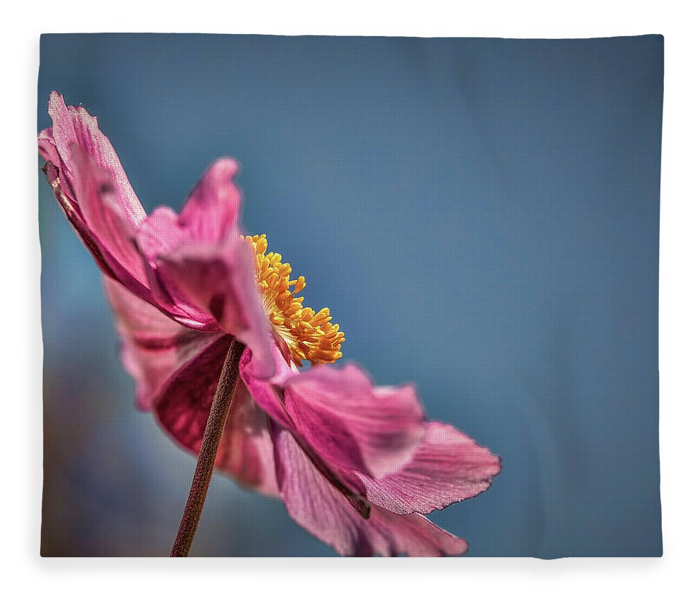 Pink And Yellow Profile Fleece Blanket featuring the photograph Pink And Yellow Profile #h8 by Leif Sohlman