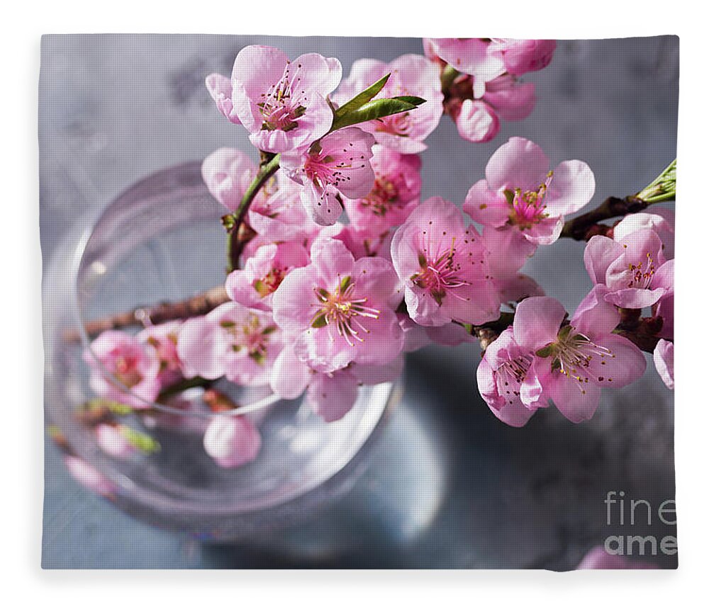 Cherry Fleece Blanket featuring the photograph Pink Cherry Blossom by Anastasy Yarmolovich