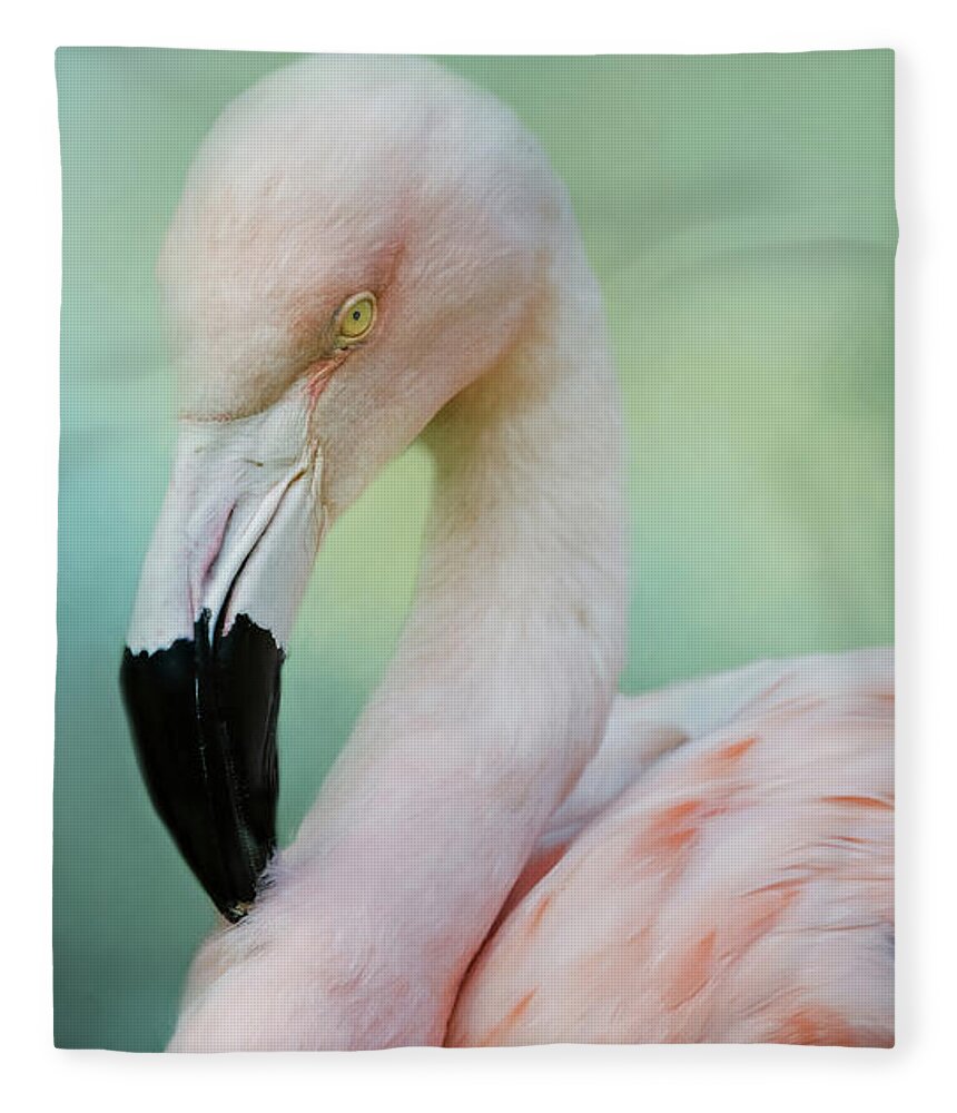 Ciconiiformes Fleece Blanket featuring the photograph Pink Floyd by Lana Trussell
