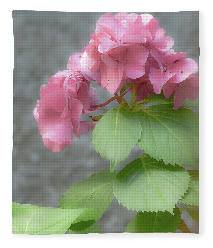 Cool Fleece Blanket featuring the photograph Pink Hydrangea Romance by Deborah Crew-Johnson