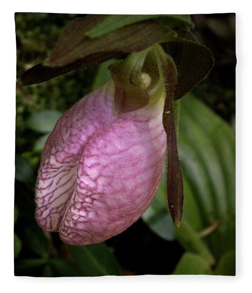 Flowers Fleece Blanket featuring the photograph Pink Lady Slipper by Nancy Griswold