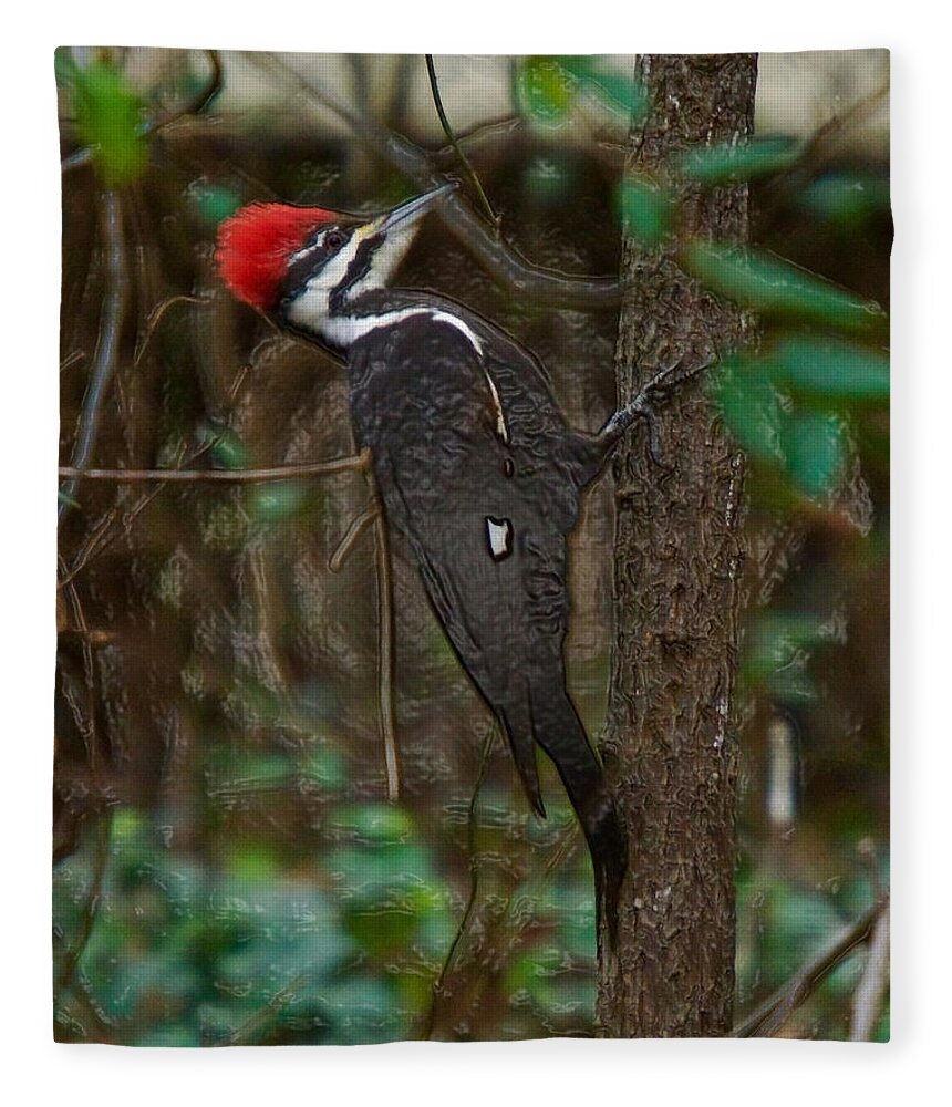 Pileated Woodpecker Fleece Blanket featuring the photograph Plastic Wrapped Pileated Woodpecker by Robert L Jackson