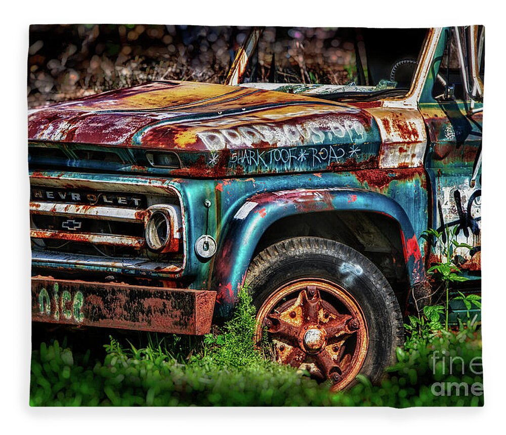 Chevrolet Fleece Blanket featuring the photograph Play Nice by Doug Sturgess