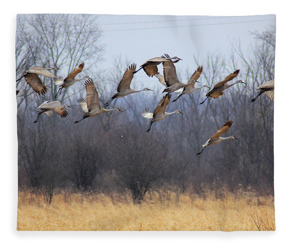 Sandhill Cranes Fleece Blanket featuring the photograph Poetry In Motion by Viviana Nadowski