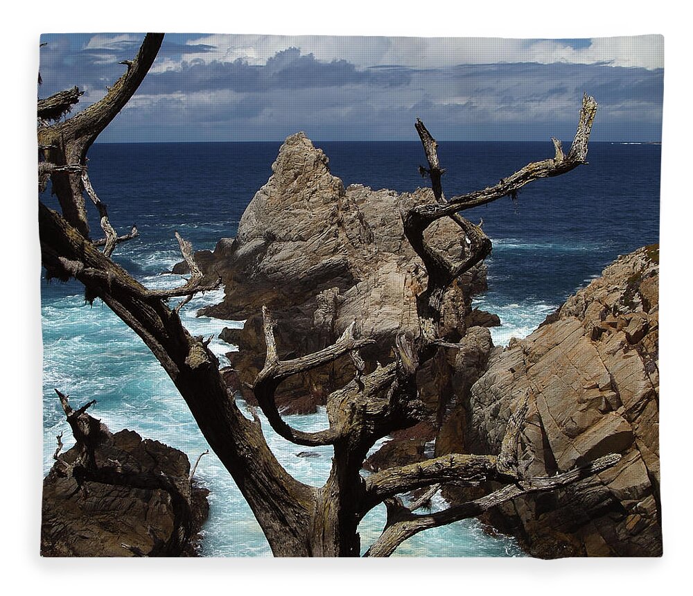 Carmel Fleece Blanket featuring the photograph Point Lobos Rocks and Branches by Charlene Mitchell