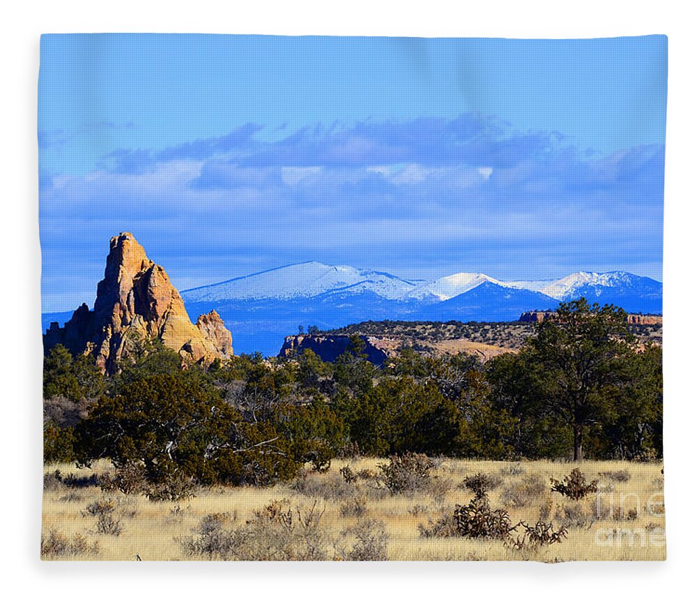 Southwest Landscape Fleece Blanket featuring the photograph Point with a view by Robert WK Clark
