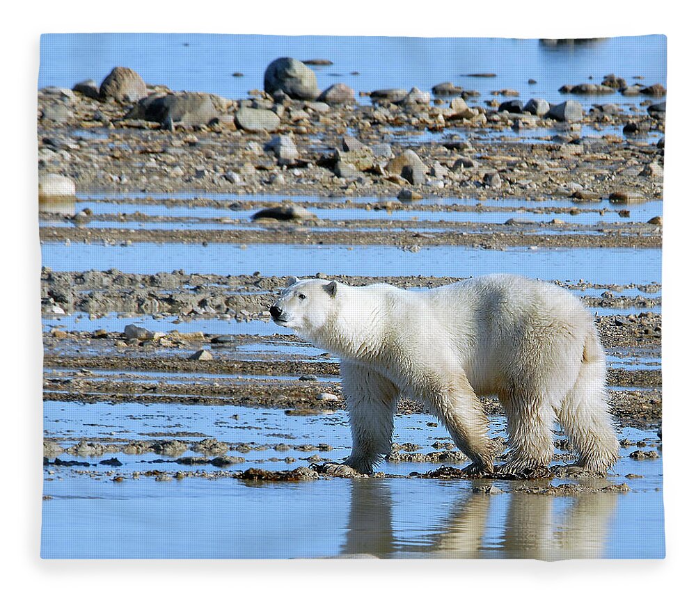 Polar Fleece Blanket featuring the photograph Polar Bear in Water by Ted Keller