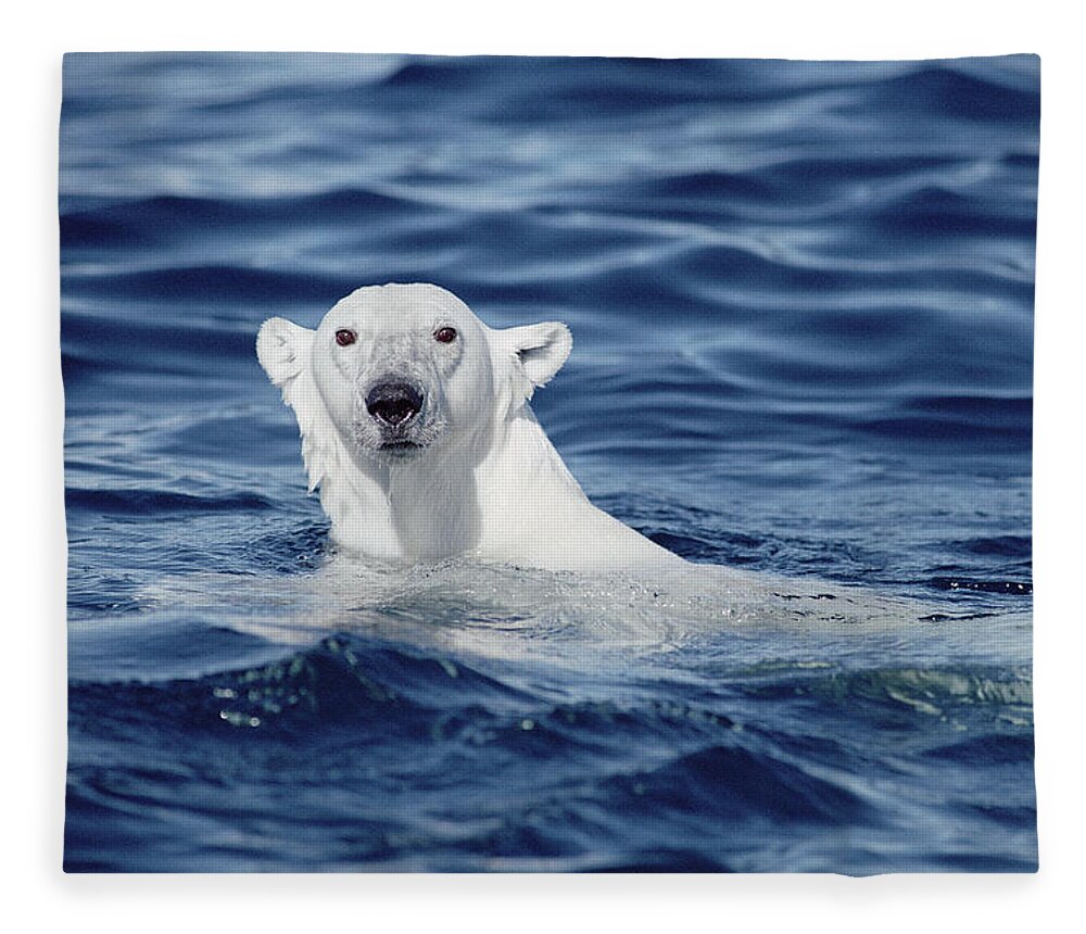 Polar Fleece -  Canada