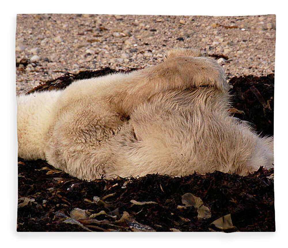 Polar Fleece Blanket featuring the photograph Polar Bear Warmup by Ted Keller
