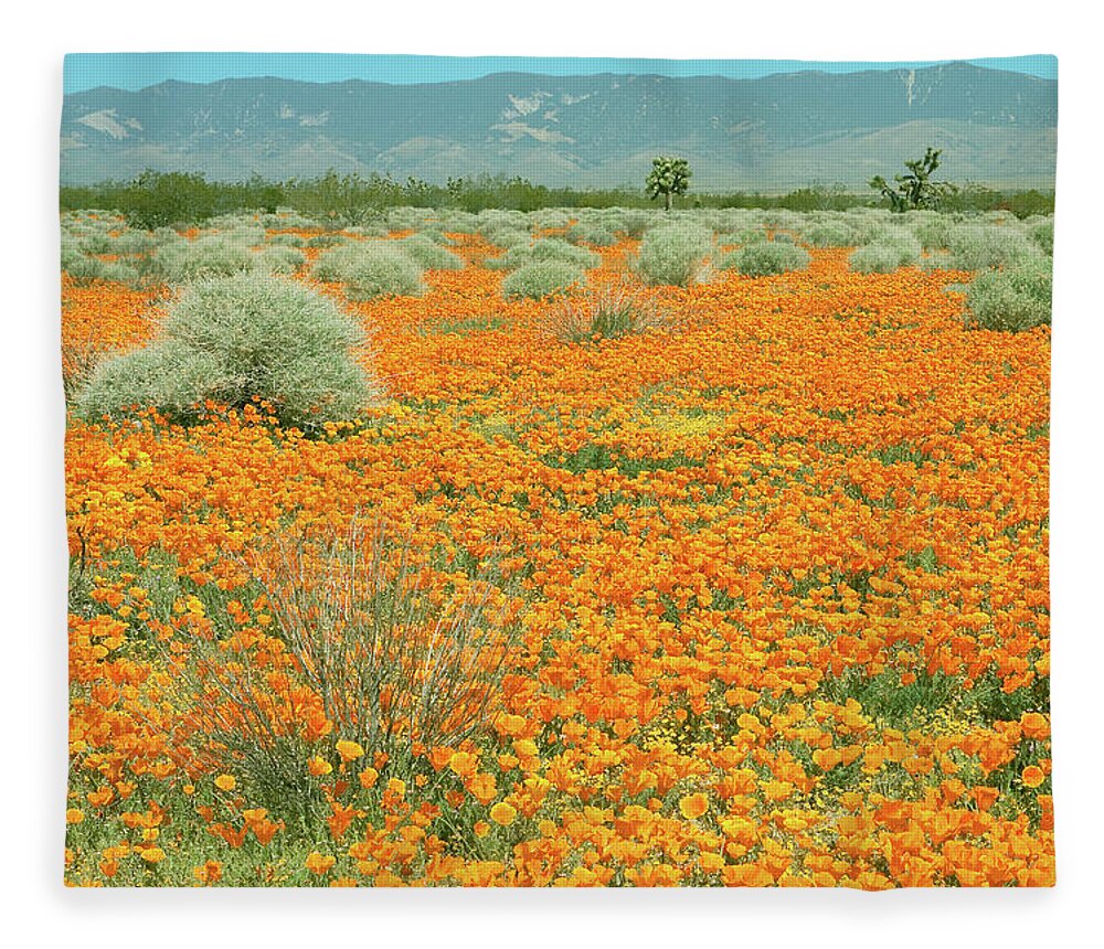 California Poppy Field Fleece Blanket featuring the photograph Poppies for Ever - Poppy Fields Mojave Desert California by Ram Vasudev