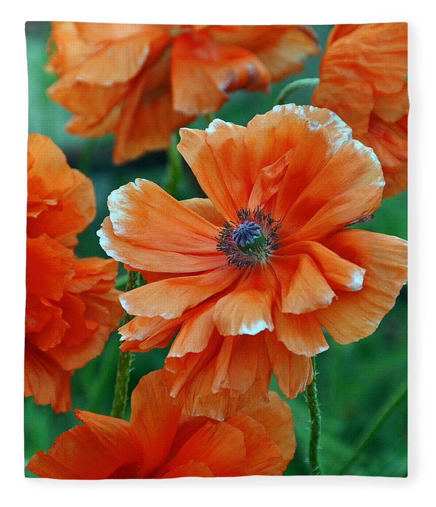 Papaver Somniferum. Opium Fleece Blanket featuring the photograph Poppy Fields by Angelina Tamez