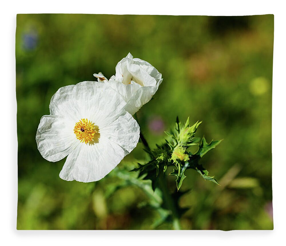 Austin Fleece Blanket featuring the photograph Poppy Wildflower by Raul Rodriguez