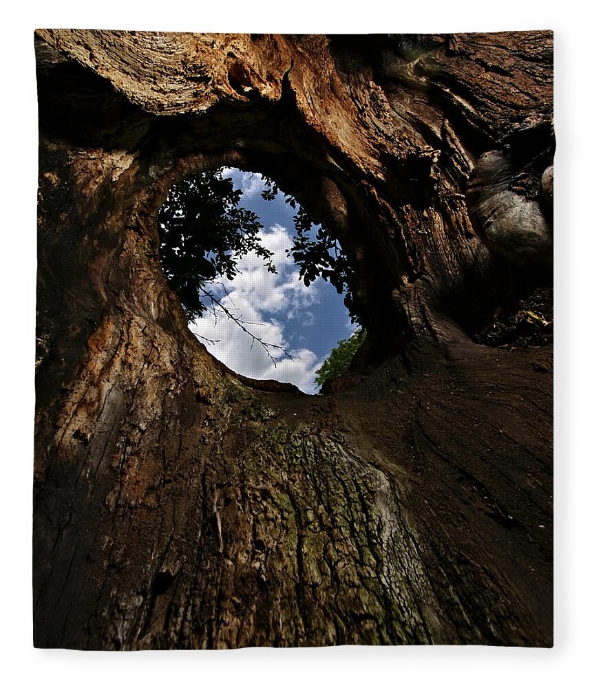 Tree Fleece Blanket featuring the photograph Portal by Neil Shapiro