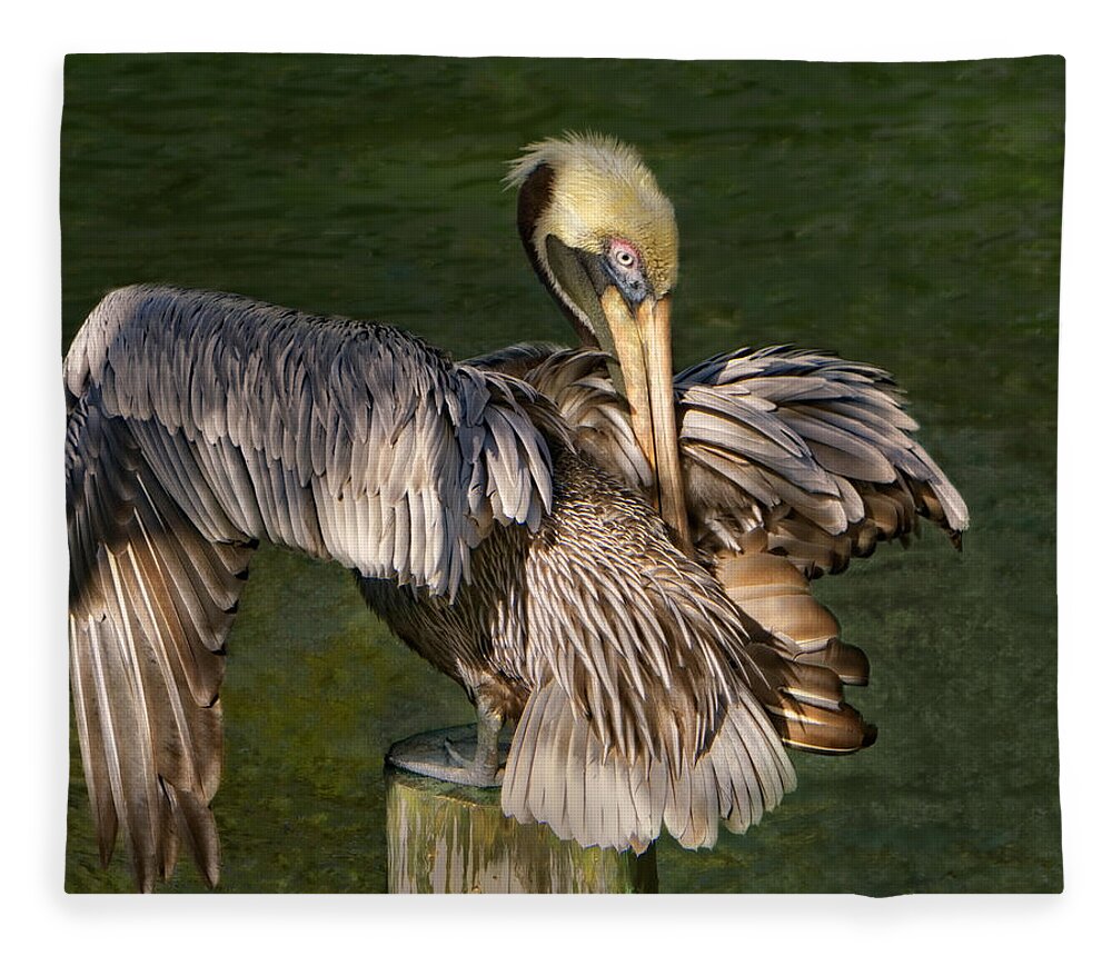 Pelican Fleece Blanket featuring the photograph Portrait of a Brown Pelican Preening by Mitch Spence