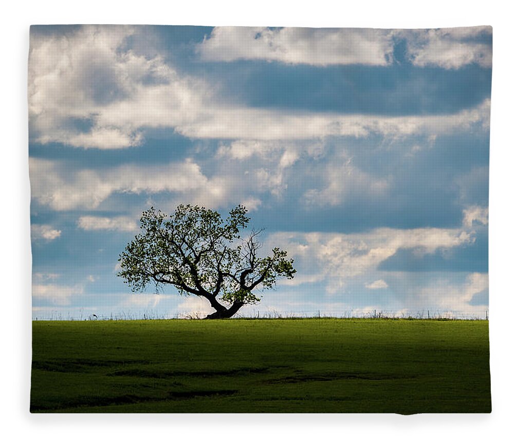 Lone Tree Fleece Blanket featuring the photograph Prairie Survivor by Jeff Phillippi