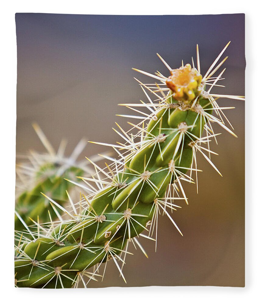 Brick Fleece Blanket featuring the photograph Prickly Branch by SR Green