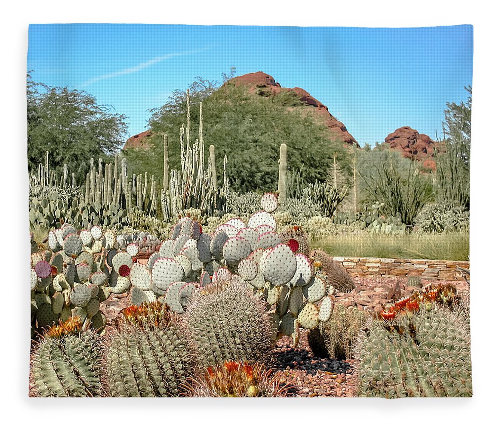 Garden Fleece Blanket featuring the photograph Prickly Garden by Darrell Foster