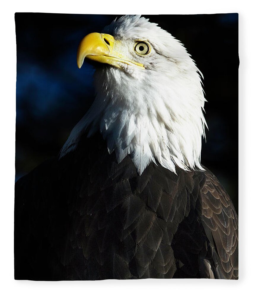  Fleece Blanket featuring the photograph Pride and Power by Kristal Kraft