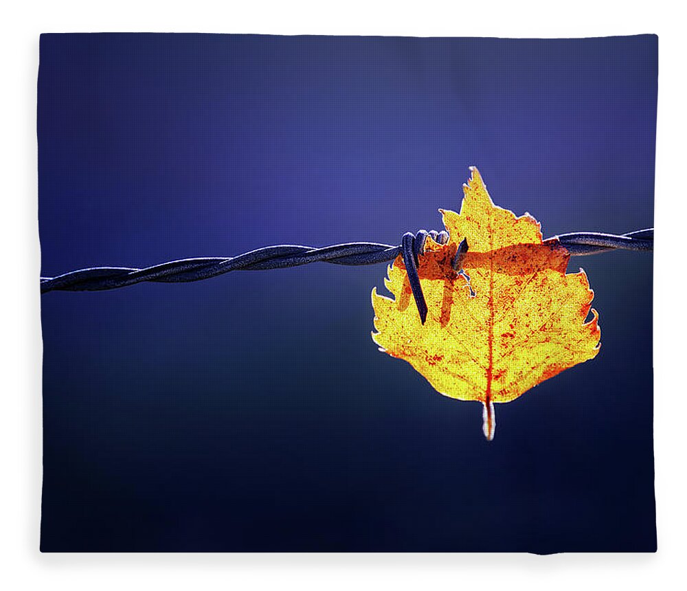 Leaf Fleece Blanket featuring the photograph Prisioner by Mikel Martinez de Osaba