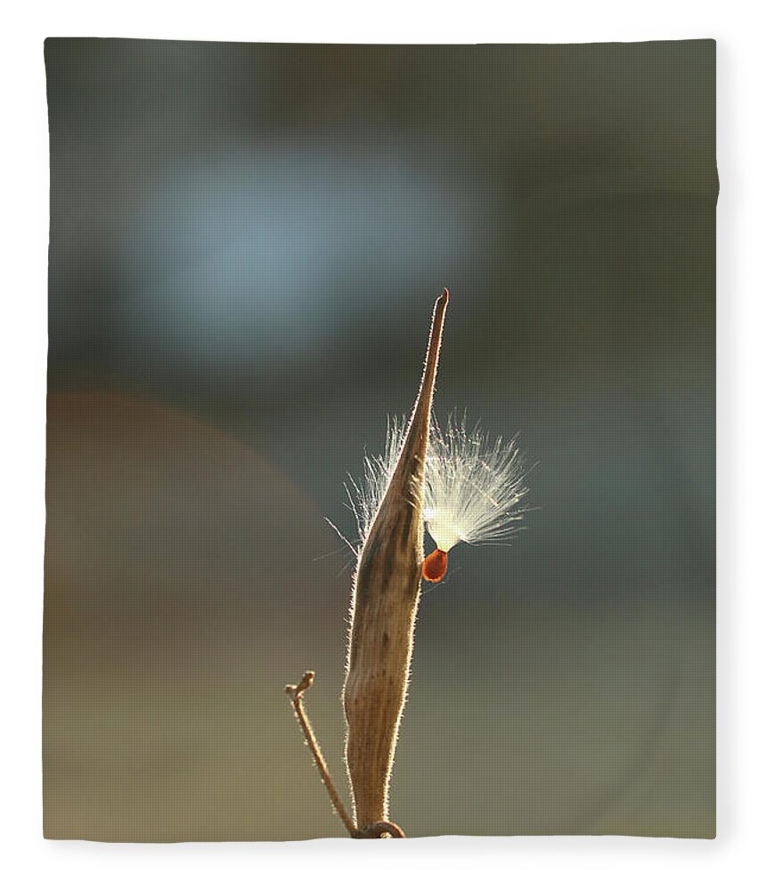 Laurie Lago Rispoli Fleece Blanket featuring the photograph Promise of Renewal by Laurie Lago Rispoli