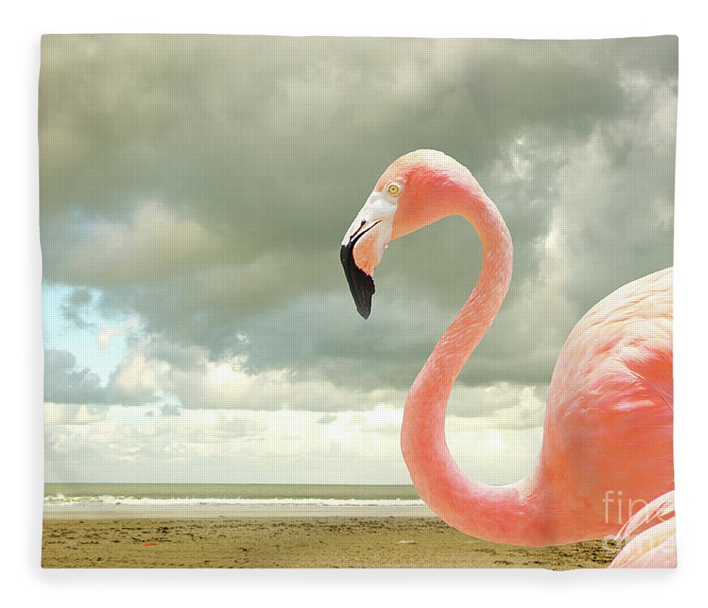 Flamingo Fleece Blanket featuring the photograph Proud to be pink by Adriana Zoon