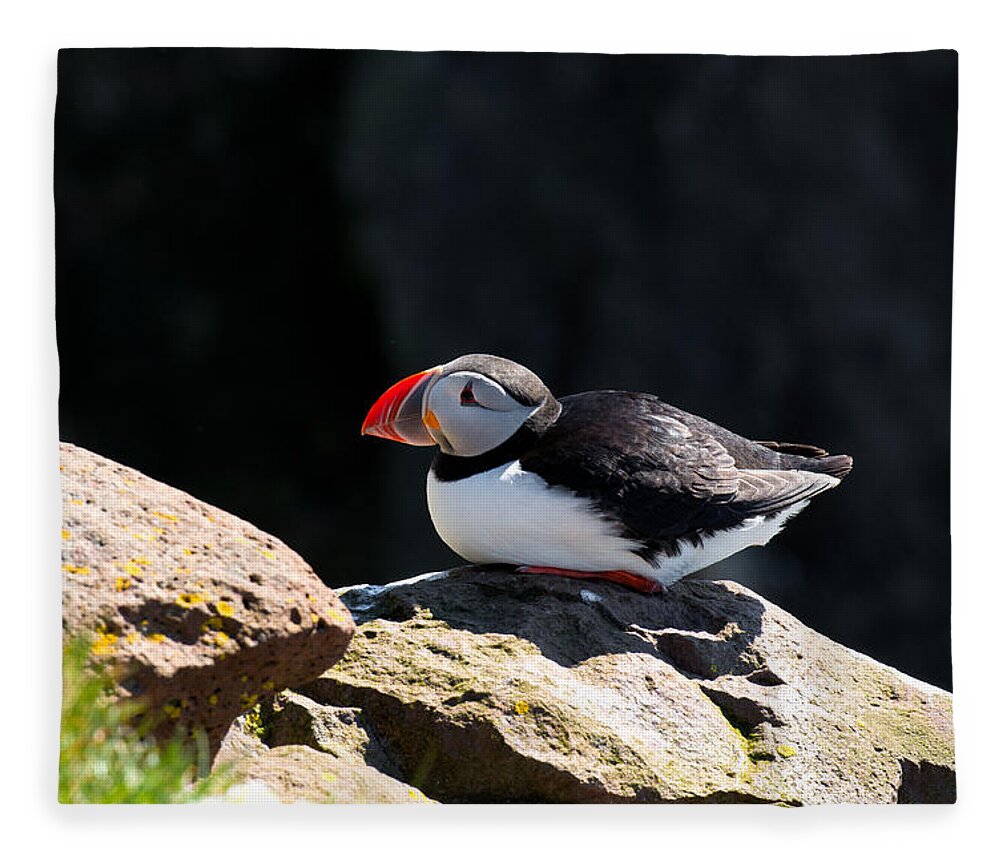 Puffin Fleece Blanket featuring the photograph Puffin in Iceland by Matthias Hauser