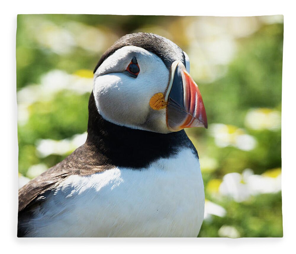  Fleece Blanket featuring the photograph Puffy Puffin by Framing Places