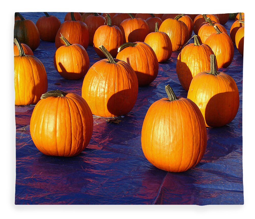 Pumpkin Fleece Blanket featuring the photograph Pumpkins Blues Landscape by Steve Karol