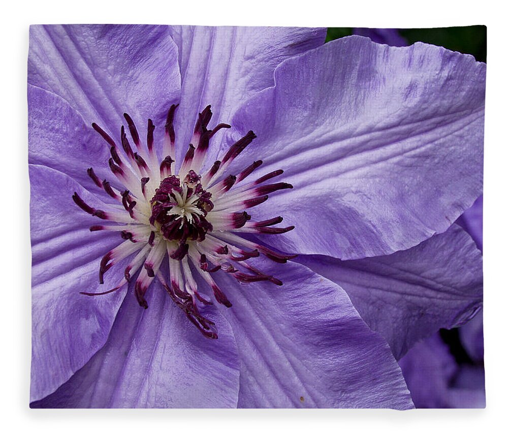 Flowers Fleece Blanket featuring the photograph Purple Clematis Blossom by Louis Dallara