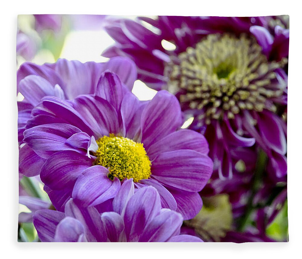 Gerbera Fleece Blanket featuring the photograph Purple Flower in Cold Light. by Elena Perelman