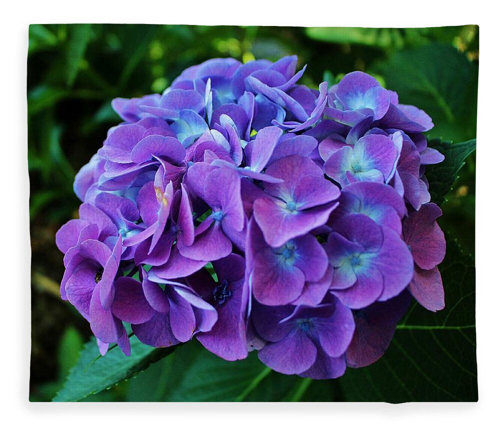 Hydrangea Fleece Blanket featuring the photograph Purple Hydrangea by Cynthia Guinn