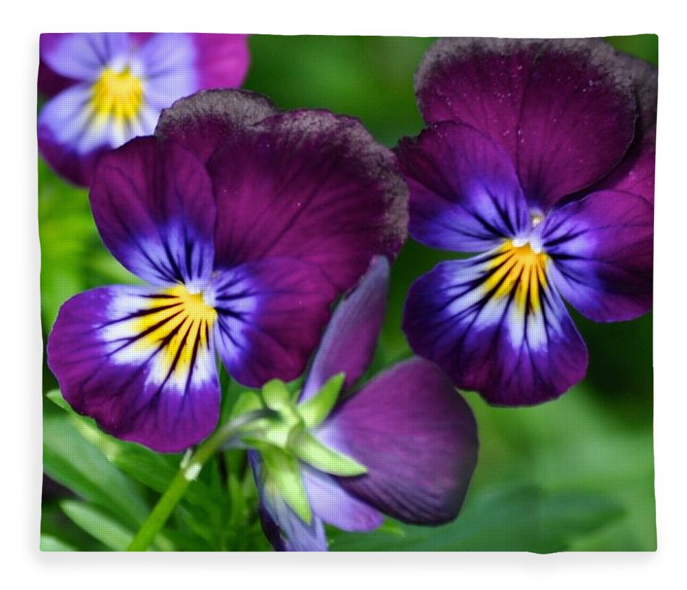 Floral Fleece Blanket featuring the photograph Fancy Pansies by Emerita Wheeling