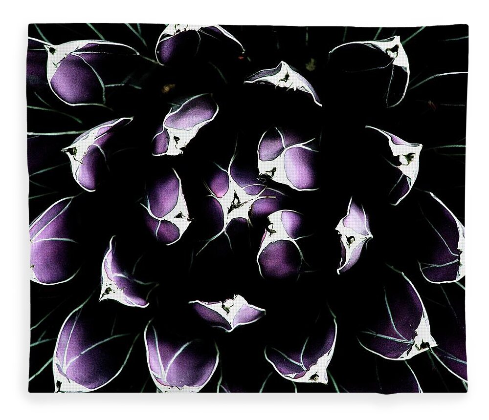 Agave Victoriae-reginae Fleece Blanket featuring the photograph Purple Queen by Debra Sabeck