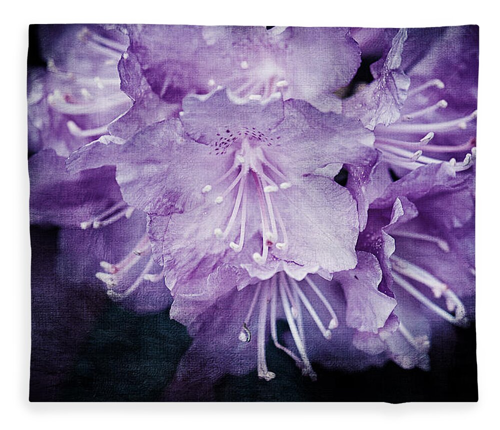 Purple Rhododendron Fleece Blanket featuring the photograph Purple Rhododendron Print by Gwen Gibson