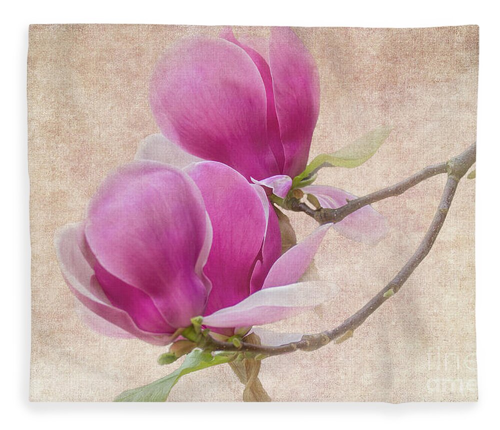 Magnolia Fleece Blanket featuring the photograph Purple Tulip Magnolia by Heiko Koehrer-Wagner