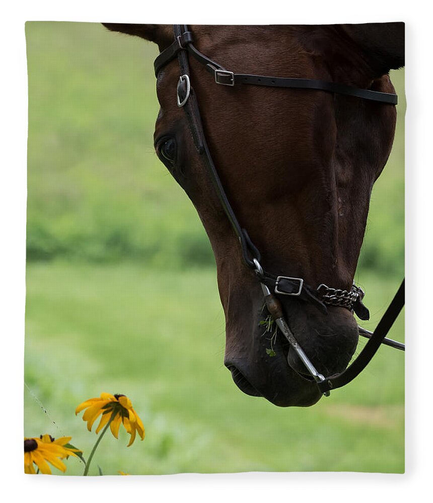 Quarter Horse Fleece Blanket featuring the photograph Quarter Horse by Holden The Moment
