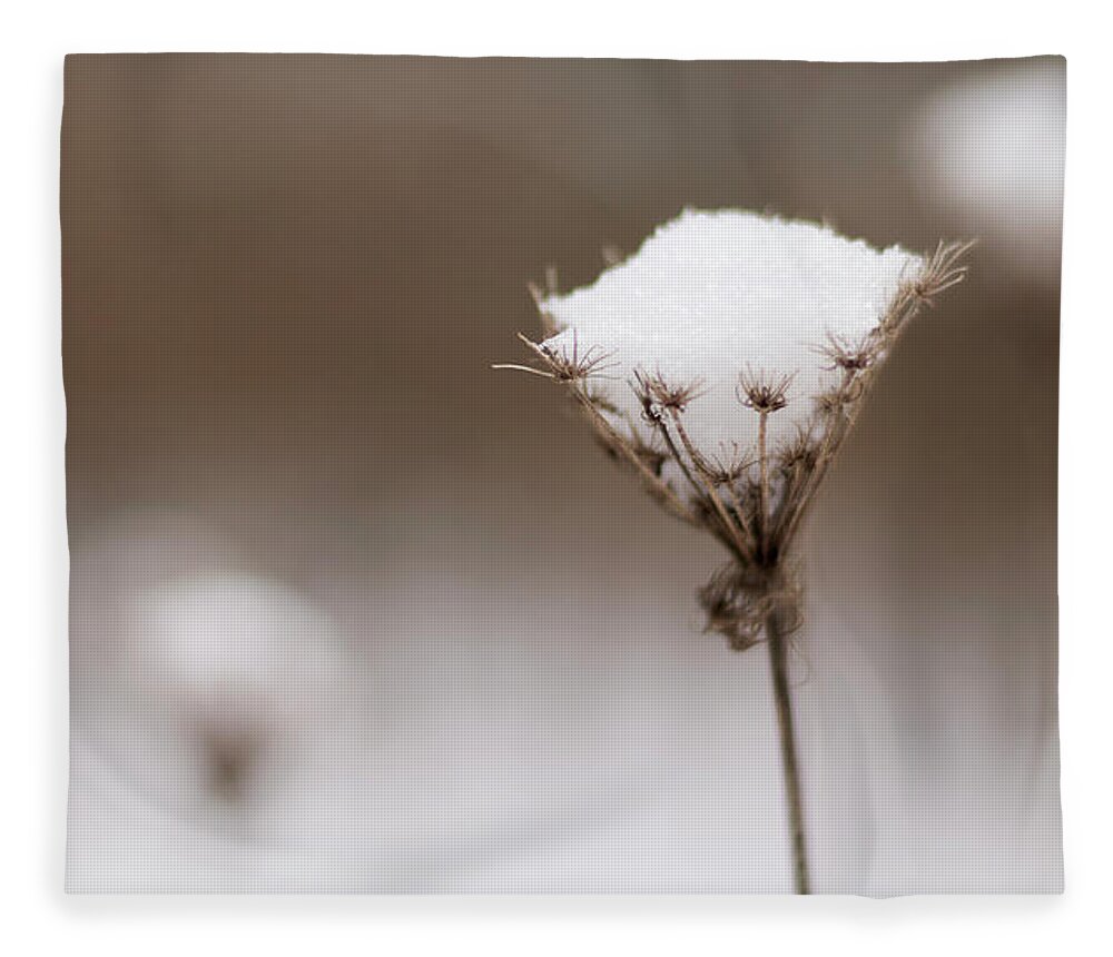 Wildflower Fleece Blanket featuring the photograph Queen Anne in the Snow by Holly Ross