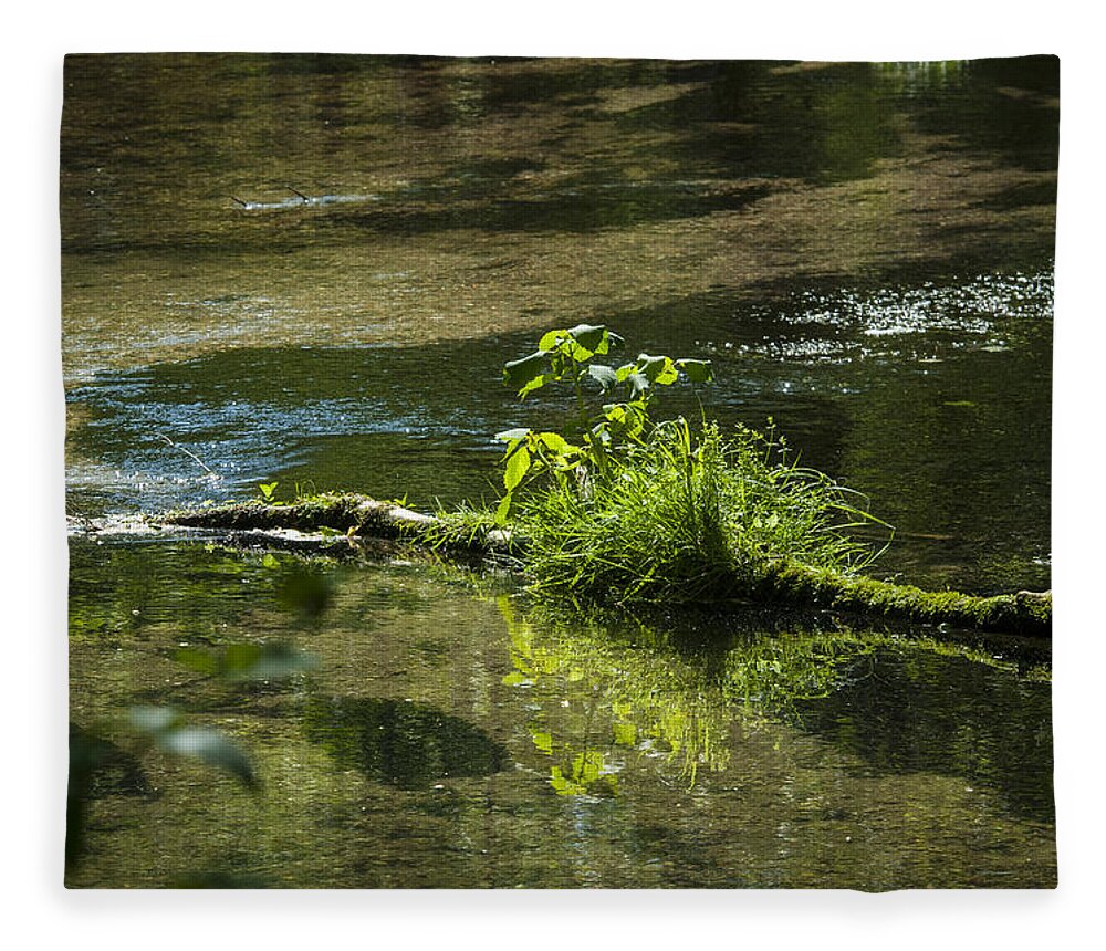 Color Image Fleece Blanket featuring the photograph Quiet trout stream by Brian Green