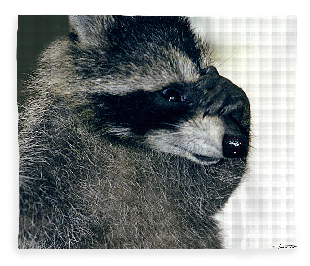Faunagraphs Fleece Blanket featuring the photograph Raccoon2 Peek-a-boo by Torie Tiffany