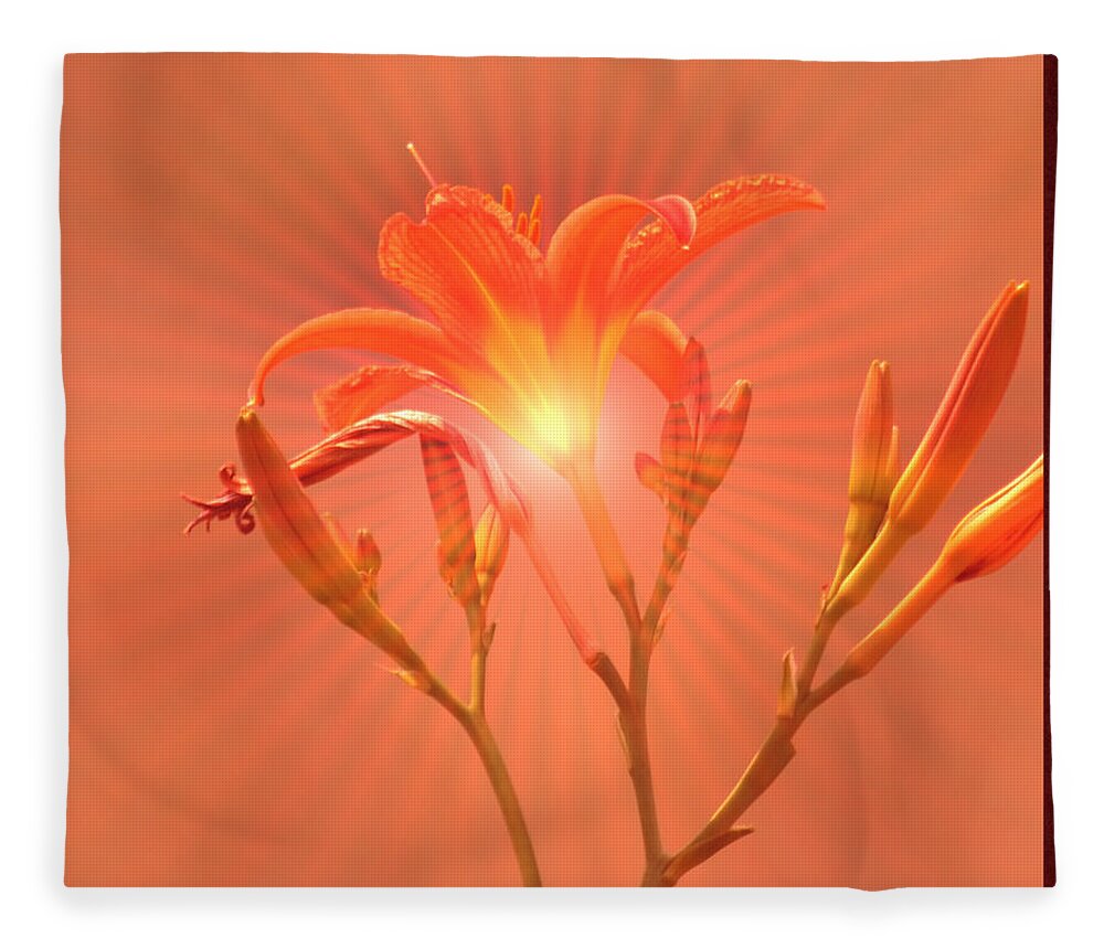 Day Lily Fleece Blanket featuring the mixed media Radiant Square Day Lily by Kae Cheatham