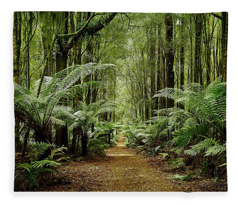 Rainforest Fleece Blanket featuring the photograph Rainforest Paradise by Catherine Reading
