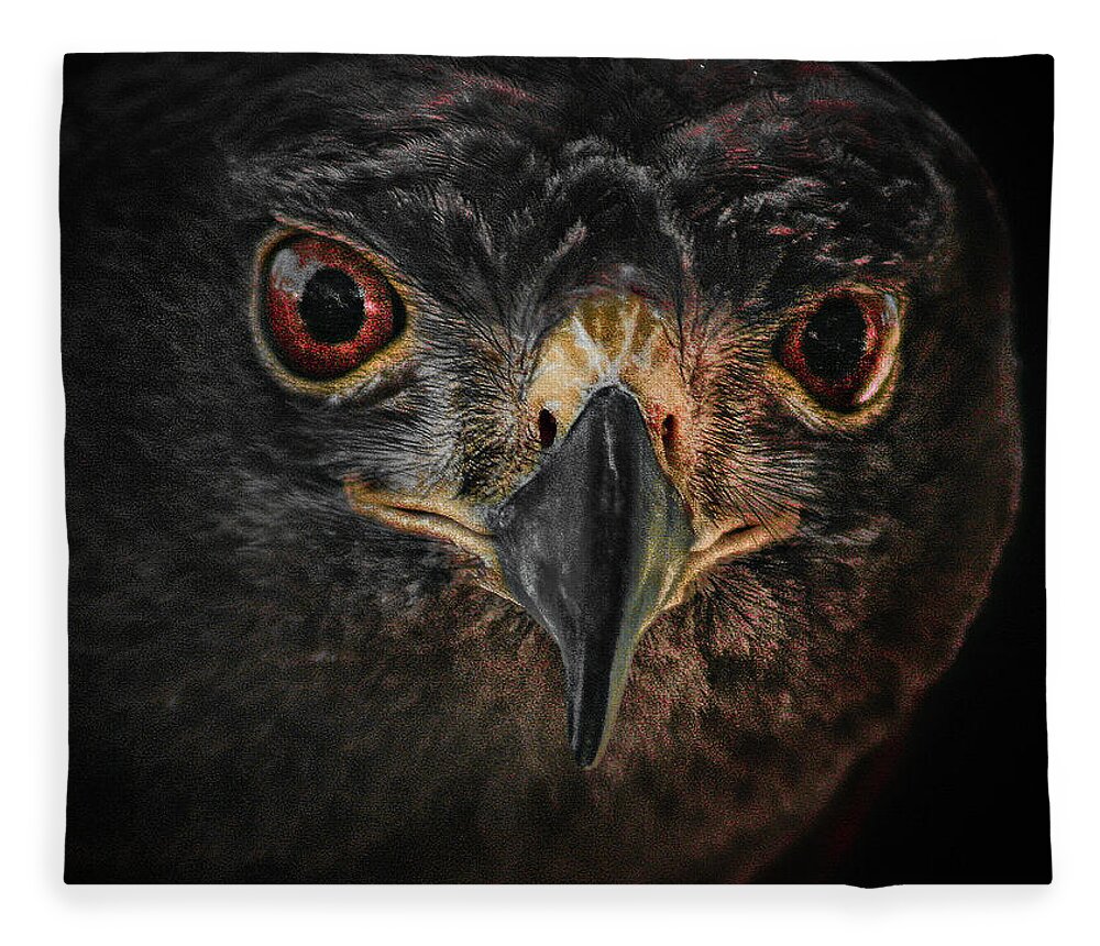 Bird Fleece Blanket featuring the photograph Rapt Raptor by Jim Painter